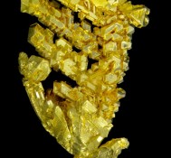 Dendritos de ouro