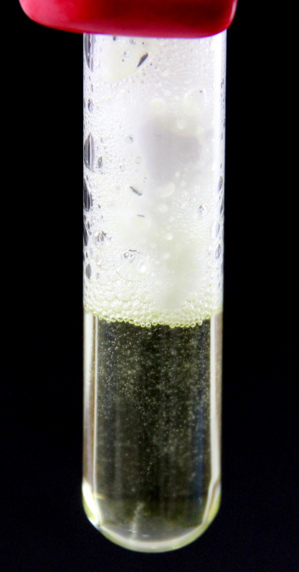 tubo com carbonato e ácido clorídrico